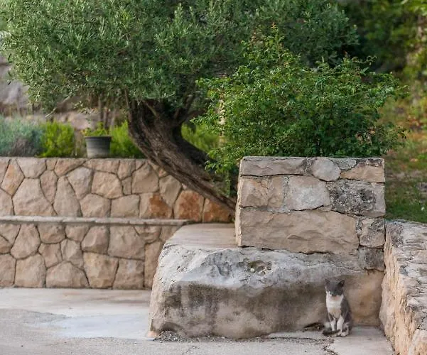 Novak 아파트 Čilipi