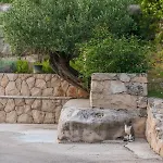 Novak דירה Čilipi