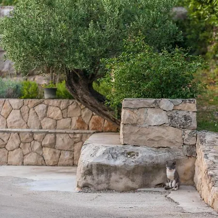 Novak Apartman Cilipi