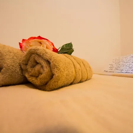 Apartman Novak Cilipi